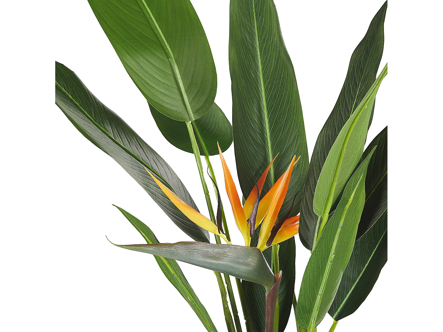 Plante artificielle STRELITZIA TREE 115 cm Vert
