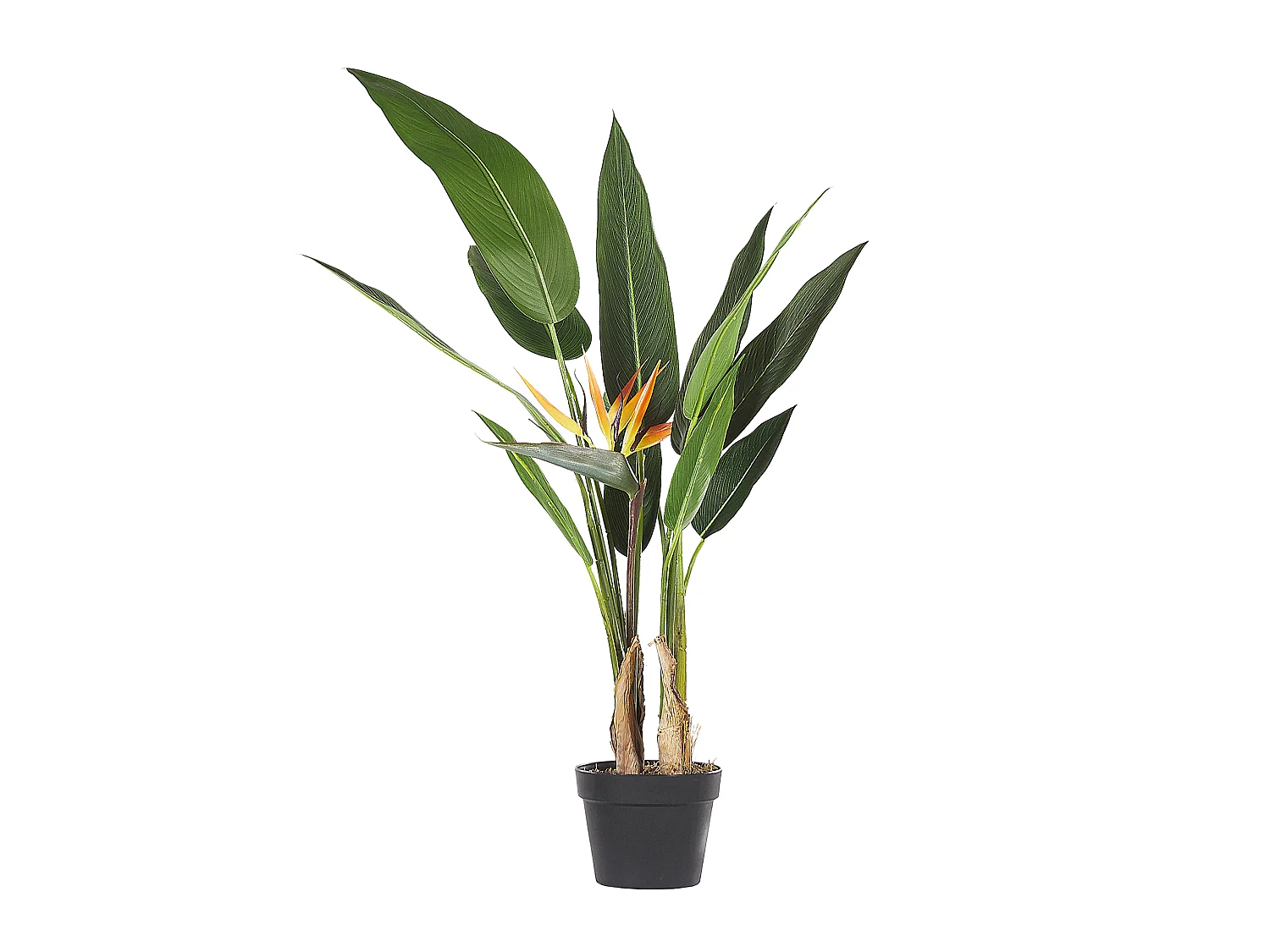 Plante artificielle STRELITZIA TREE 115 cm Vert