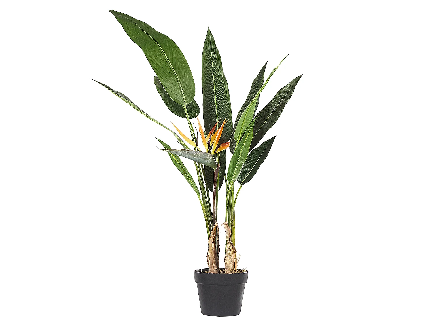 Kunstplant 115 cm STRELITZIA TREE