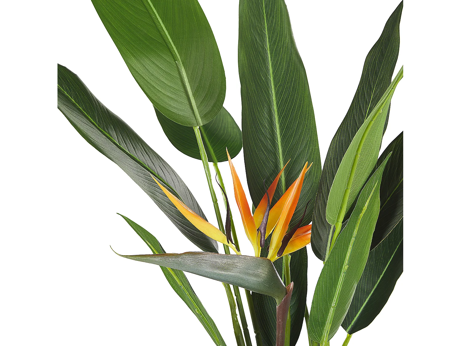 Kunstplant 115 cm STRELITZIA TREE