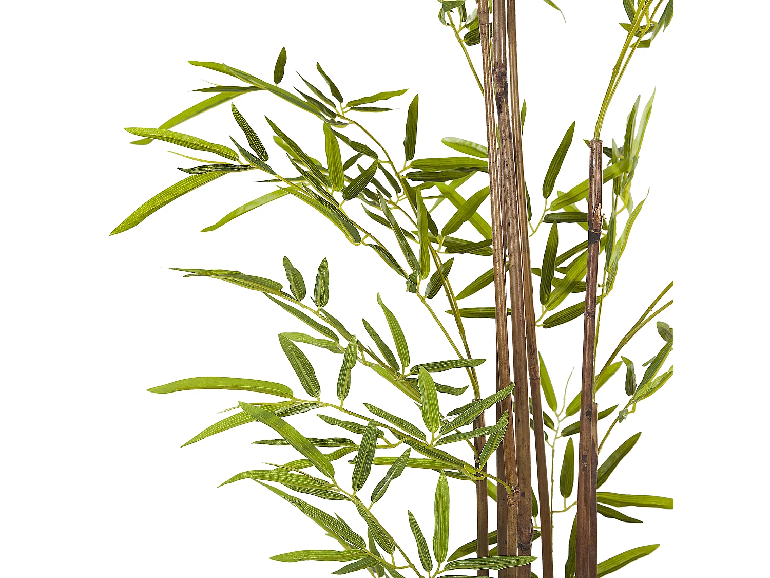 Dekorative Bambus-Imitation im Blumentopf 160 cm grün Bambusa Vulgaris