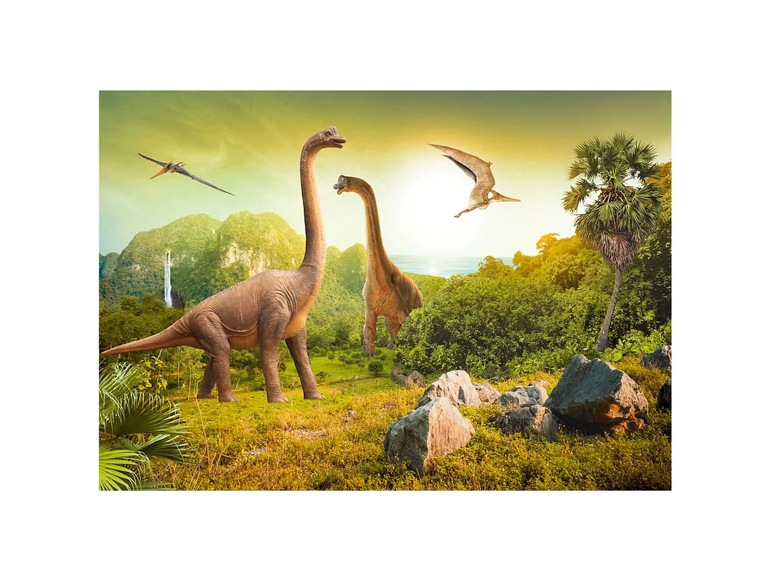 Papier peint adhésif Dinosaures - 147 x 105 cm