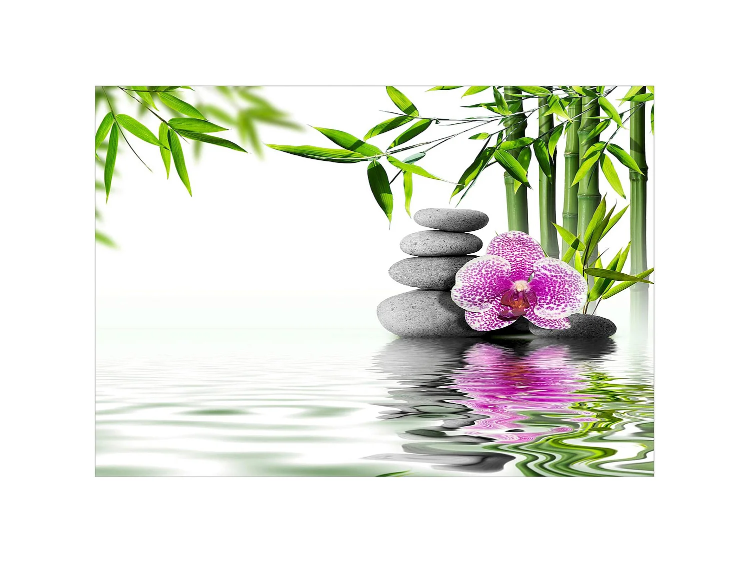 Papier peint adhésif Jardin d'eau - 147 x 105 cm