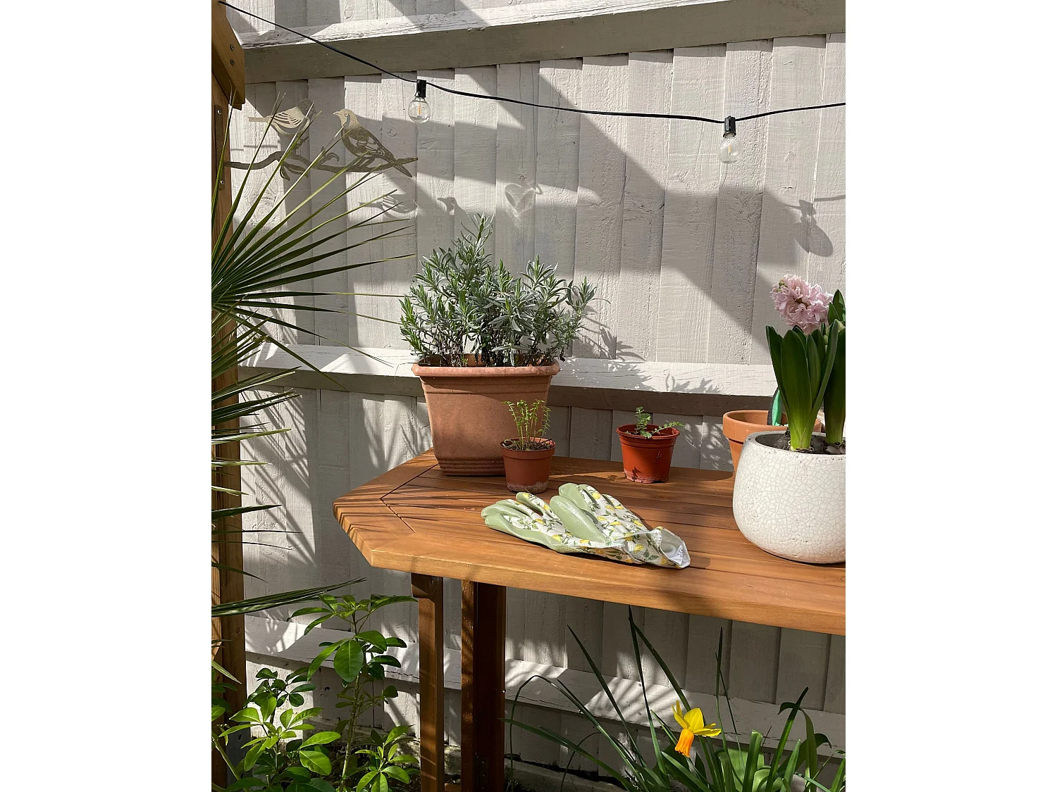 Table de balcon TREIA 110 cm 47 cm Acacia Marron