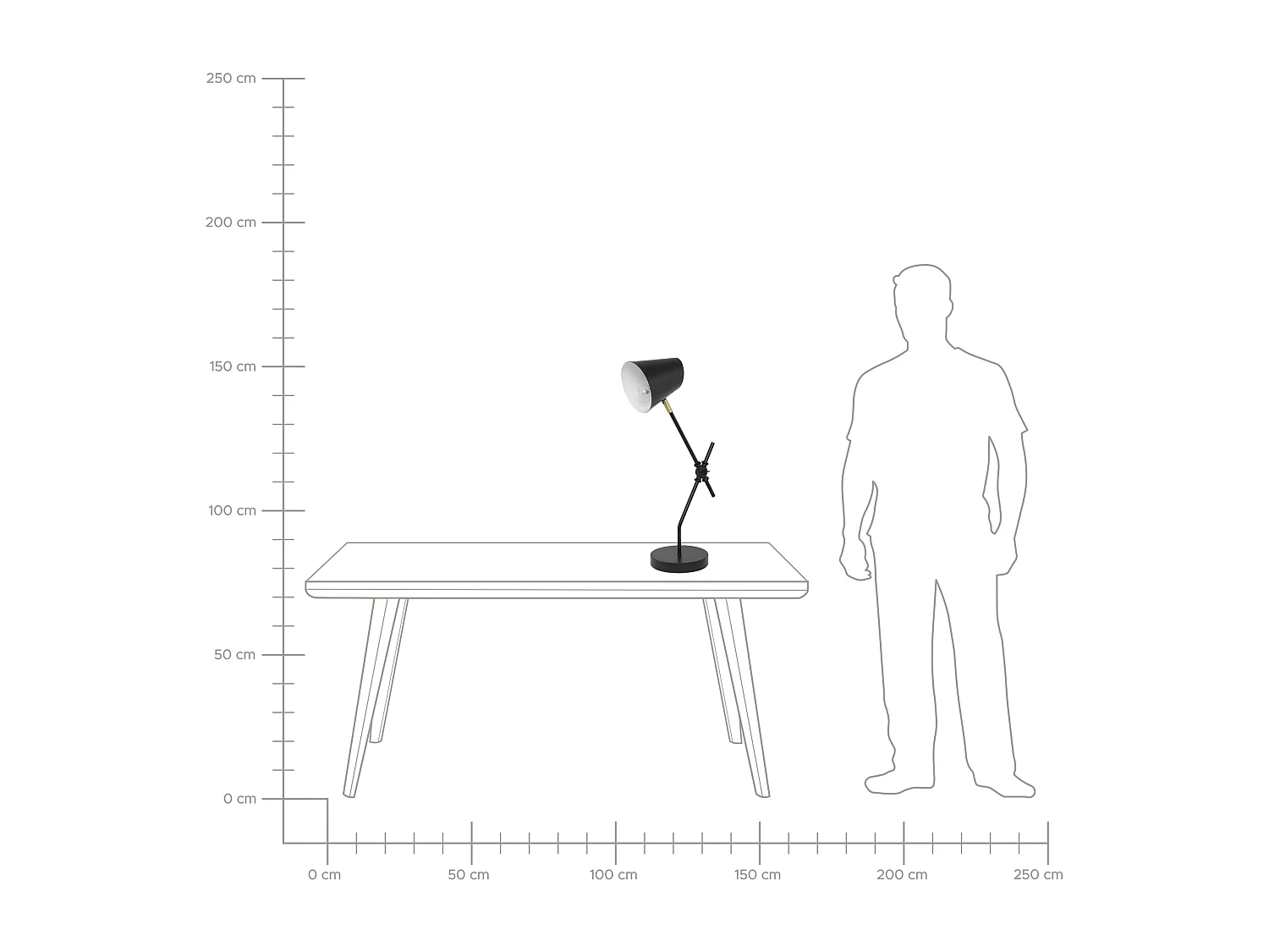 Lampe de bureau HORTON Réglable Métal Noir