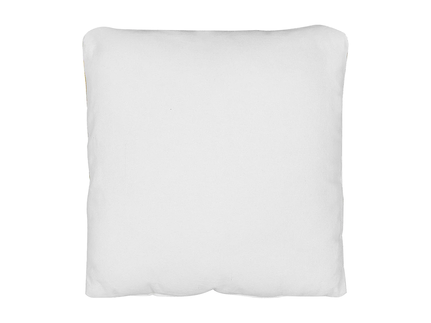 Lot de 2 coussins décoratifs WARANASI Coton 45 x 45 cm Orange