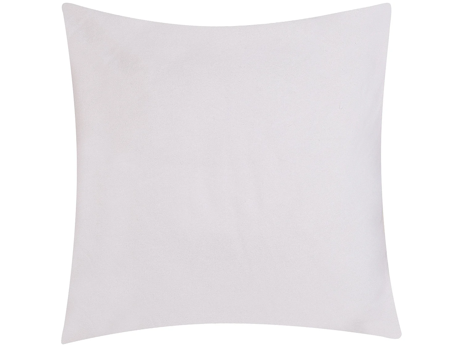 Lot de 2 coussins décoratifs 45 x 45 cm multicolores SOLIDAGO