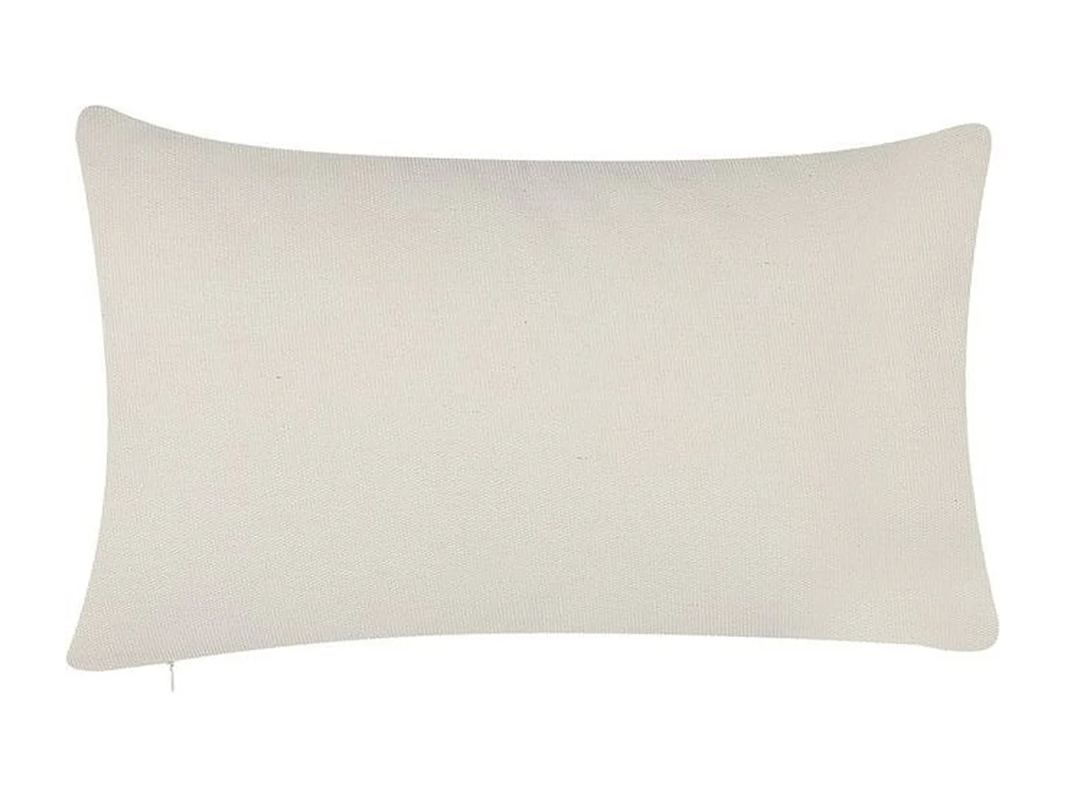 Lot de 2 coussins décoratifs NIEREMBERGIA 30 x 50 cm Beige