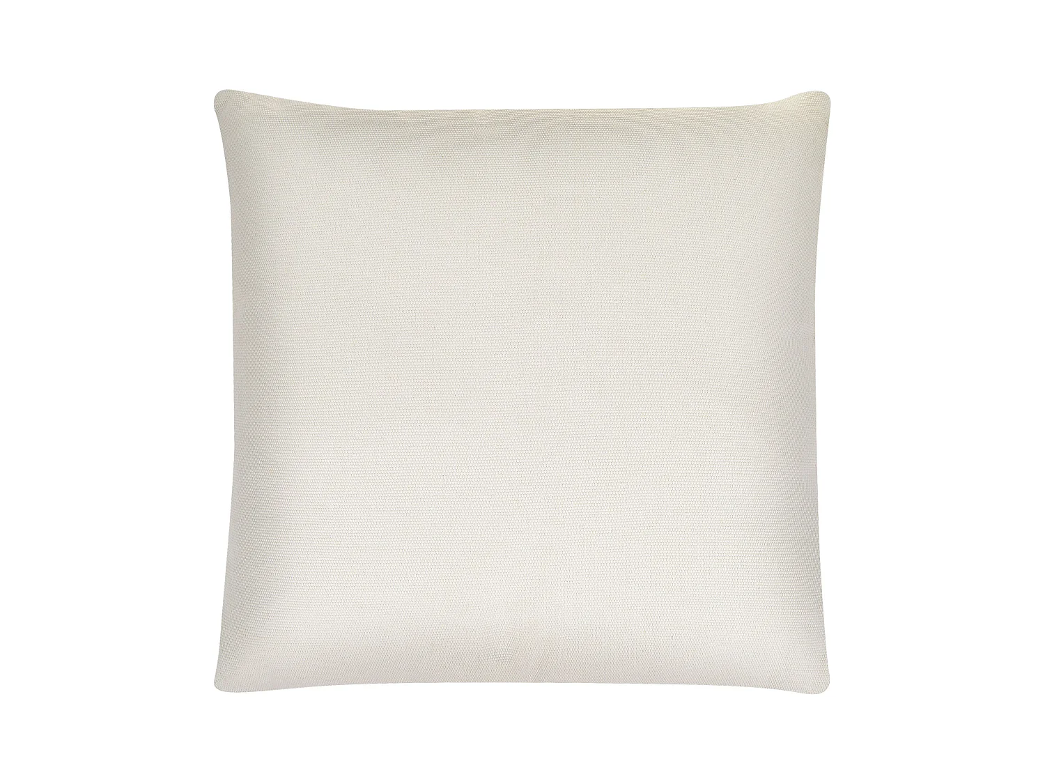 Lot de 2 coussins décoratifs DAVALLIA 45 x 45 cm Beige Motif de plante