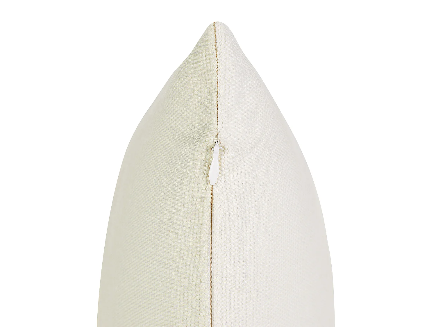 Set van 2 decoratieve kussens DAVALLIA 45 x 45 cm Beige Bladpatroon