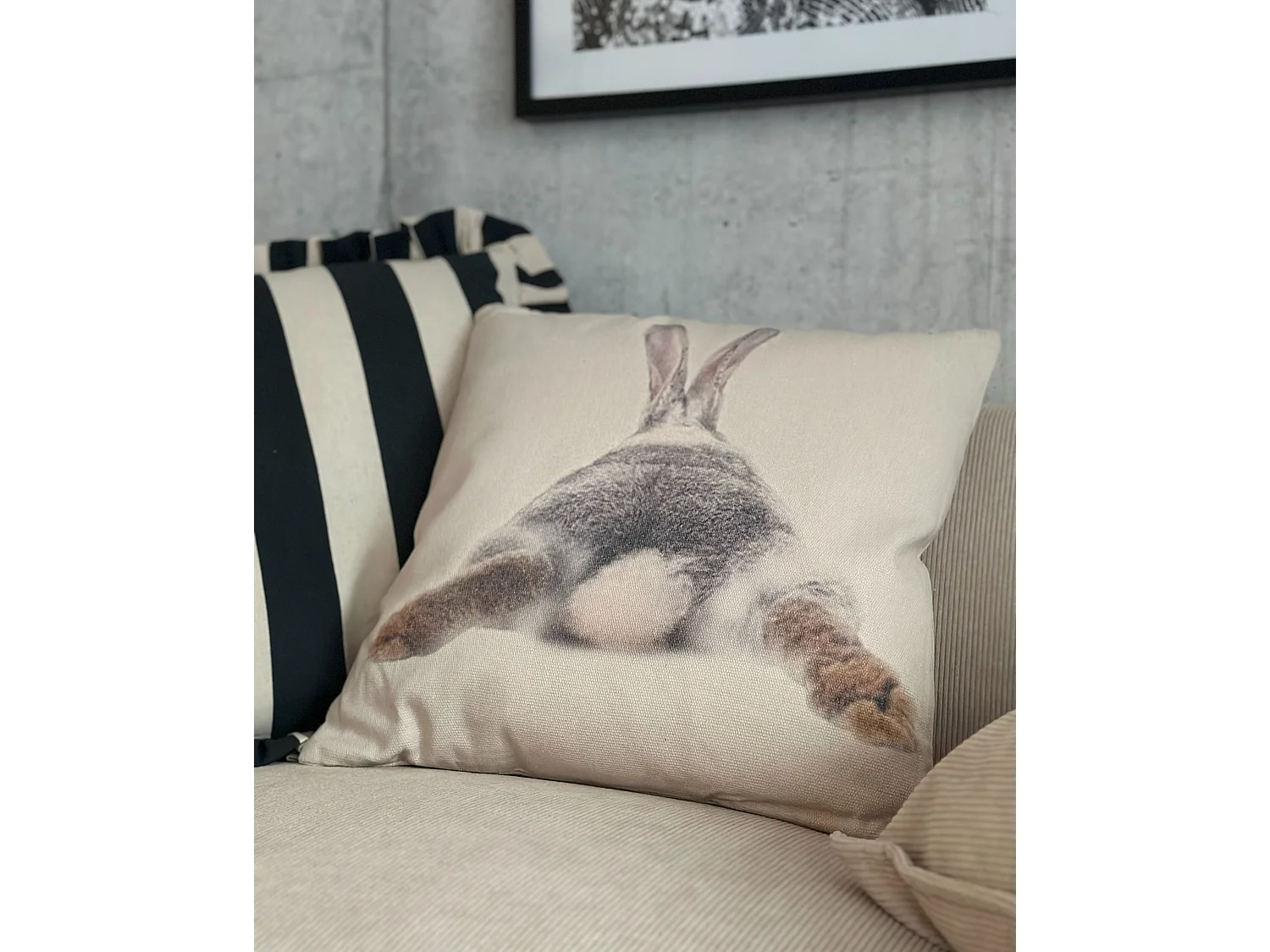 Lot de 2 coussins décoratifs motif lapin de dos multicolore BUXUS