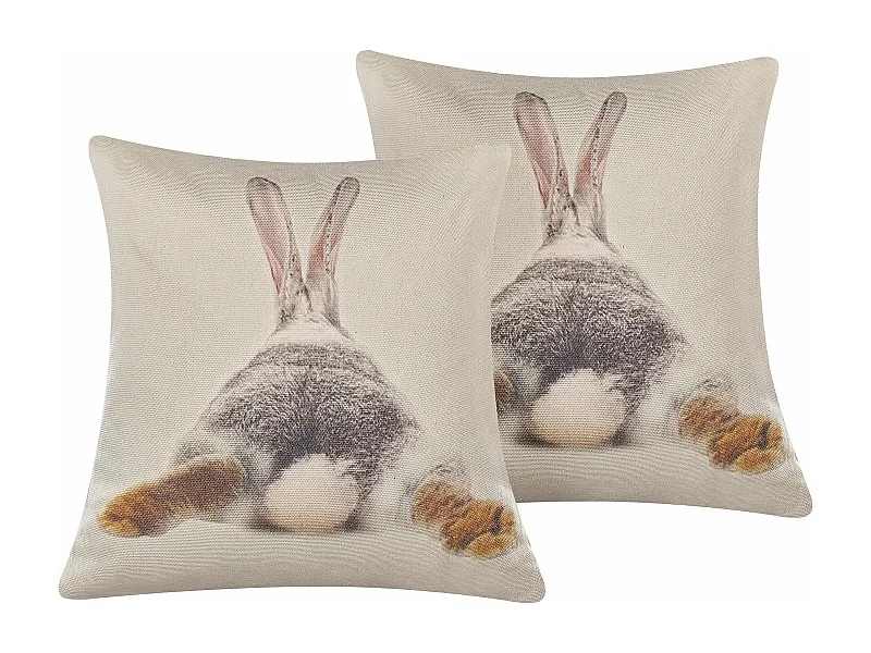 Lot de 2 coussins décoratifs BUXUS 45 x 45 cm Taupe