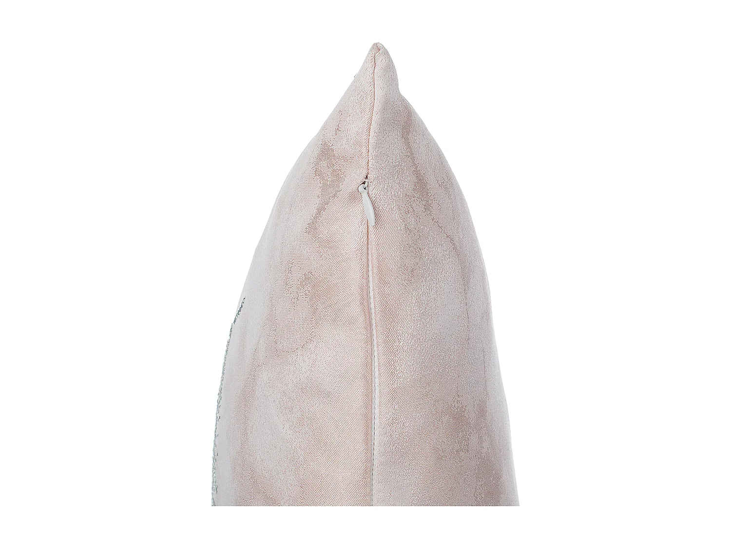 Lot de 2 coussins décoratifs SILENE 45 x 45 cm Rose Motif de plante