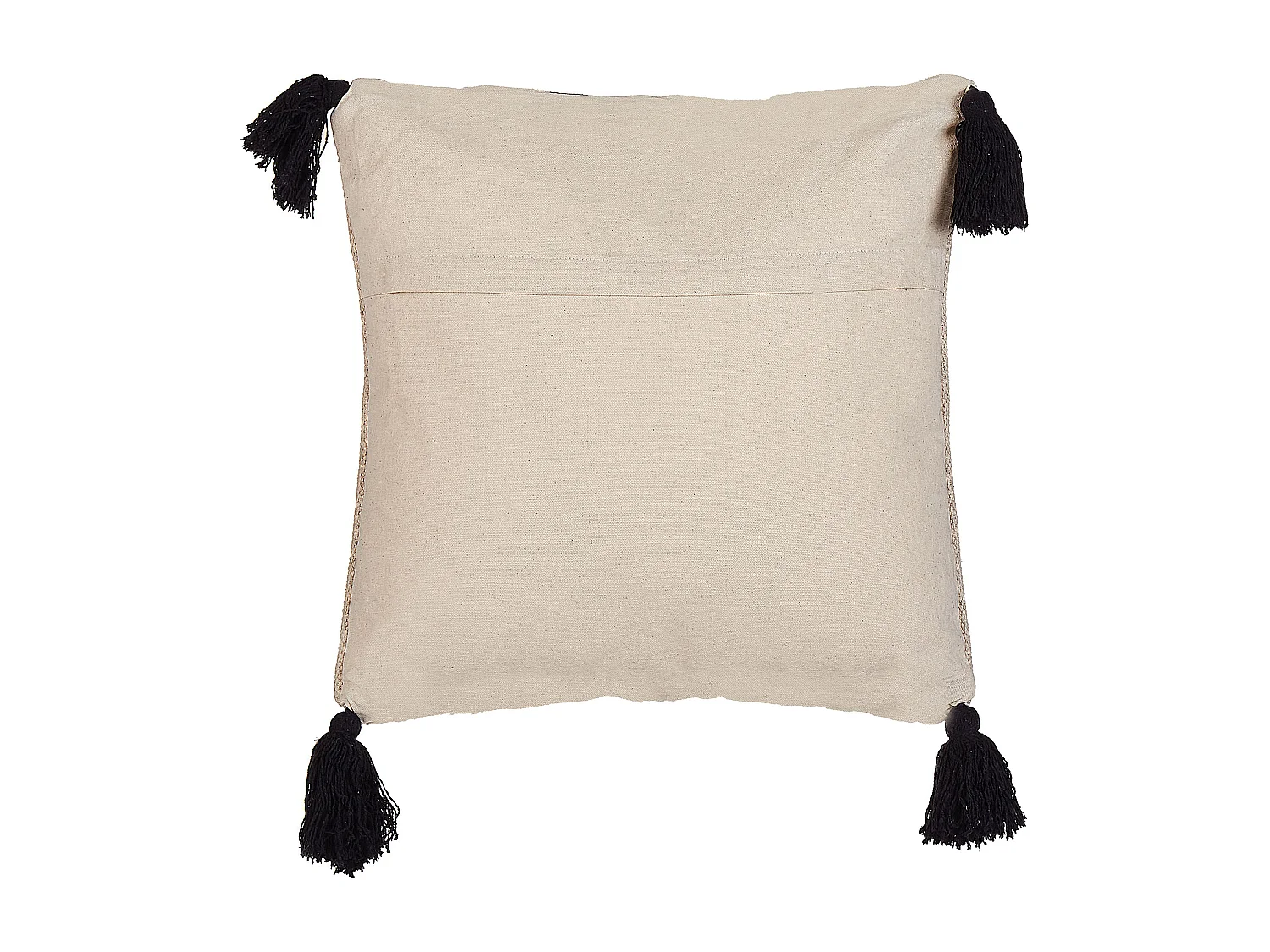 Lot de 2 coussins décoratifs DEADNETTLE Coton 45 x 45 cm Beige Motif géométrique