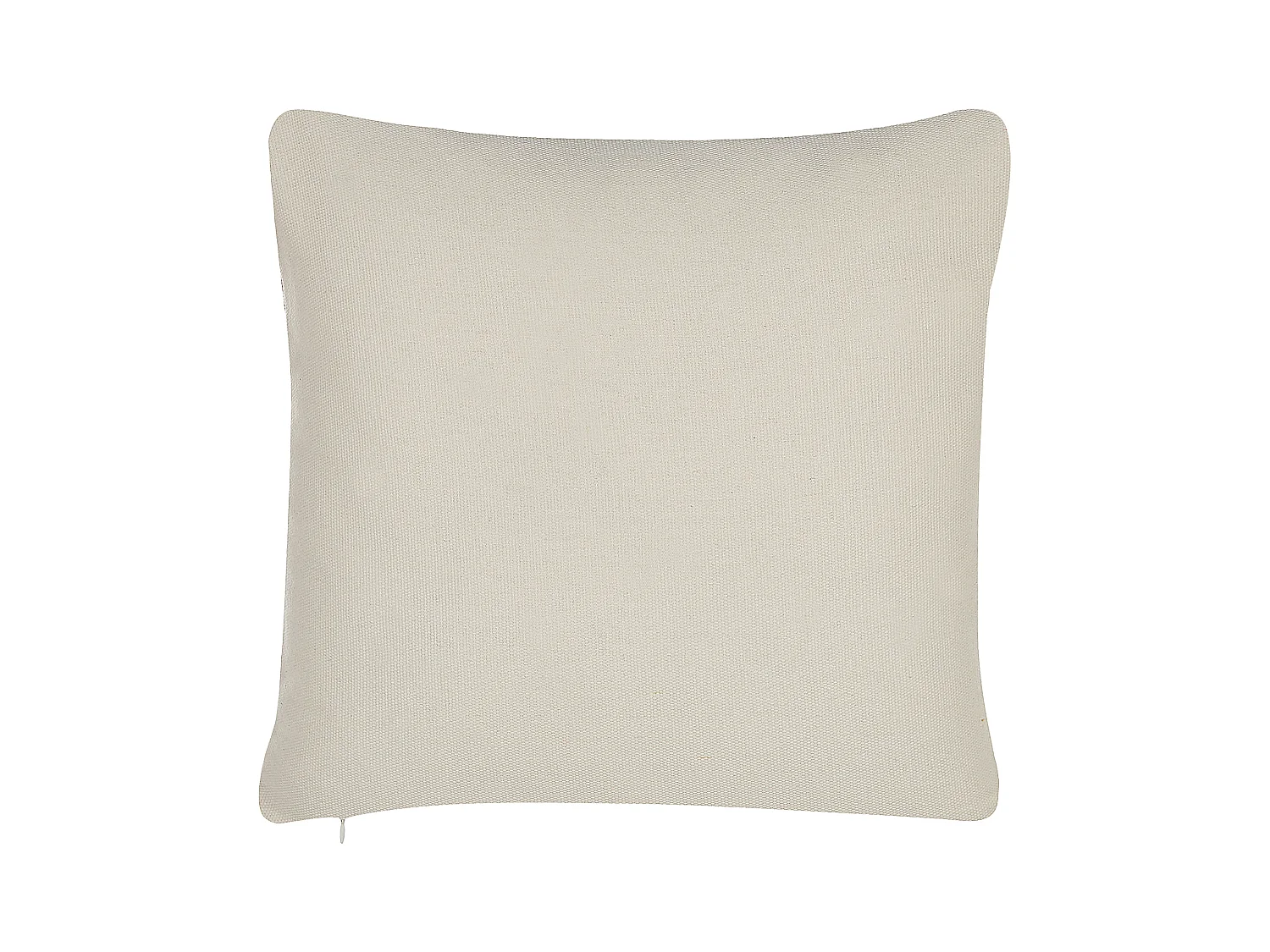 Lot de 2 coussins décoratifs FOTHERGILLA 45 x 45 cm Multicolore Motif abstrait