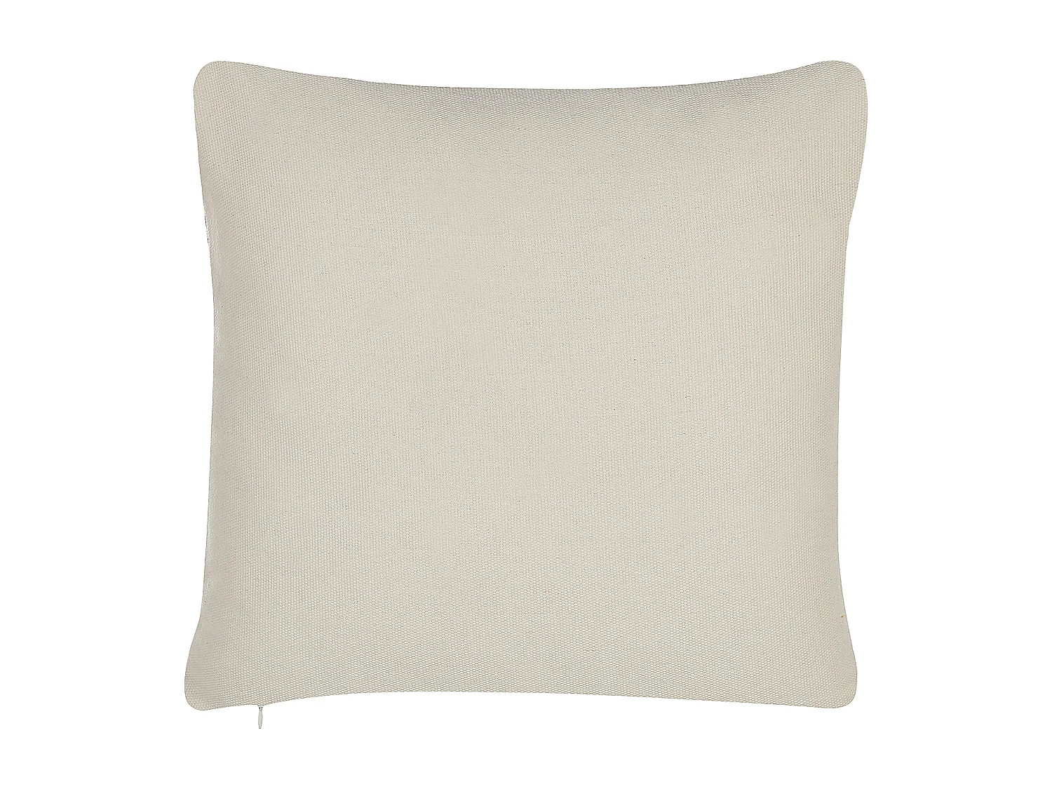 Lot de 2 coussins décoratifs FOTHERGILLA 45 x 45 cm Multicolore Motif abstrait