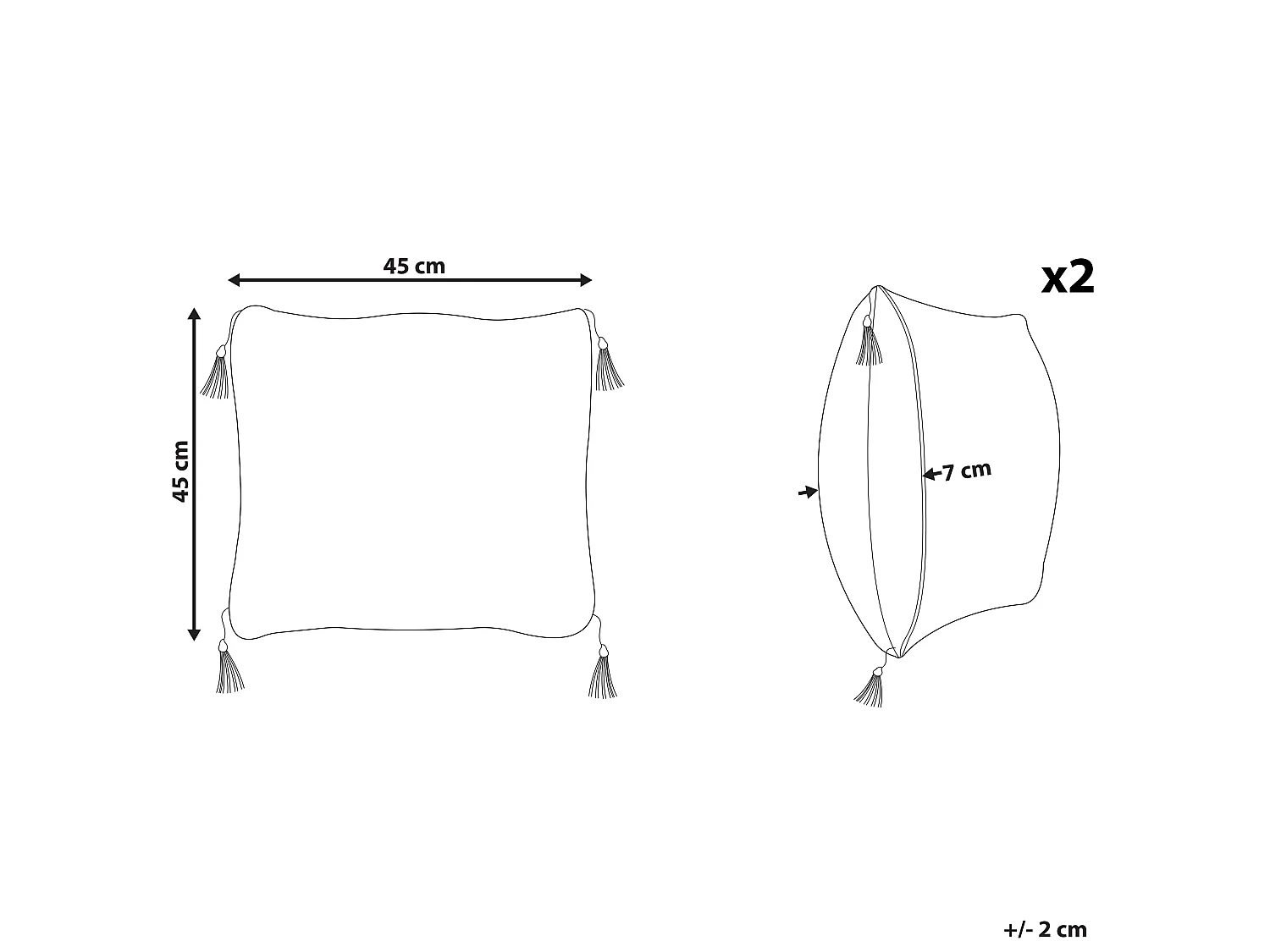 Lot de 2 coussins décoratifs LIRIOPE 45 x 45 cm Noir/blanc Motif géométrique