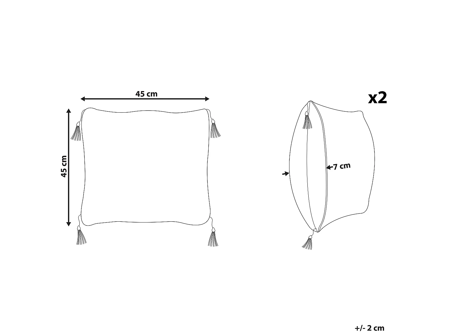 Zestaw 2 poduszek dekoracyjnych LIRIOPE 45 x 45 cm Czarny/ biały Wzór geometryczny