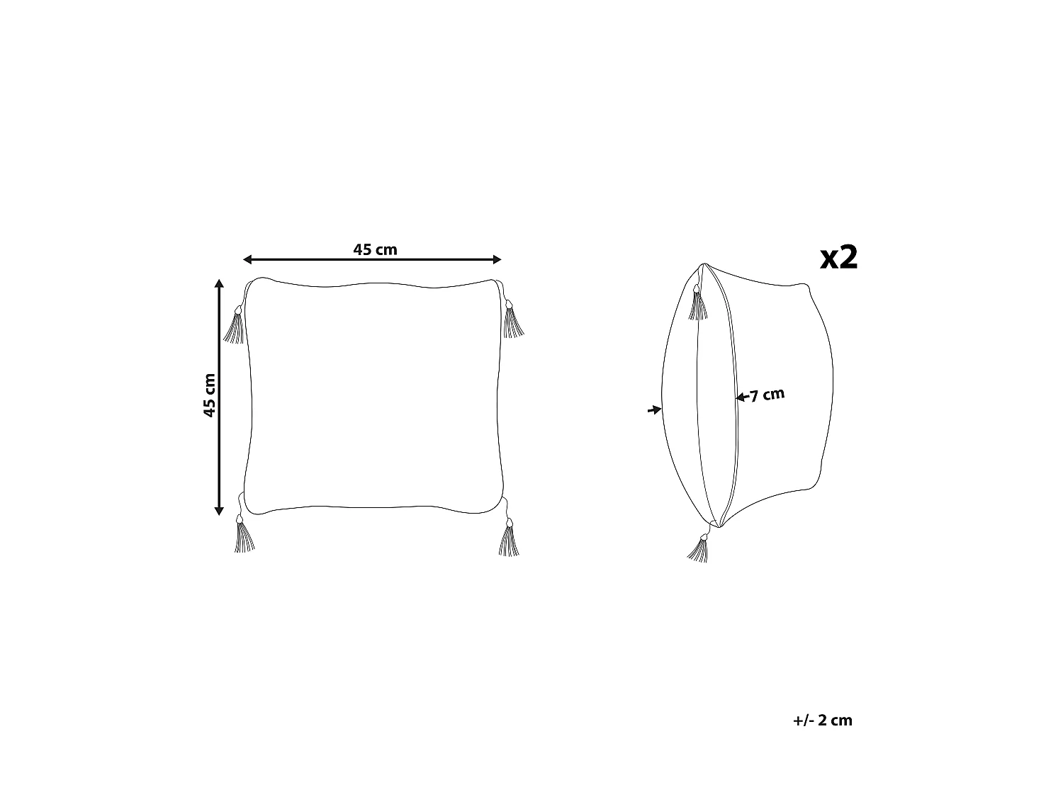 Lot de 2 coussins décoratifs LIRIOPE 45 x 45 cm Noir/blanc Motif géométrique