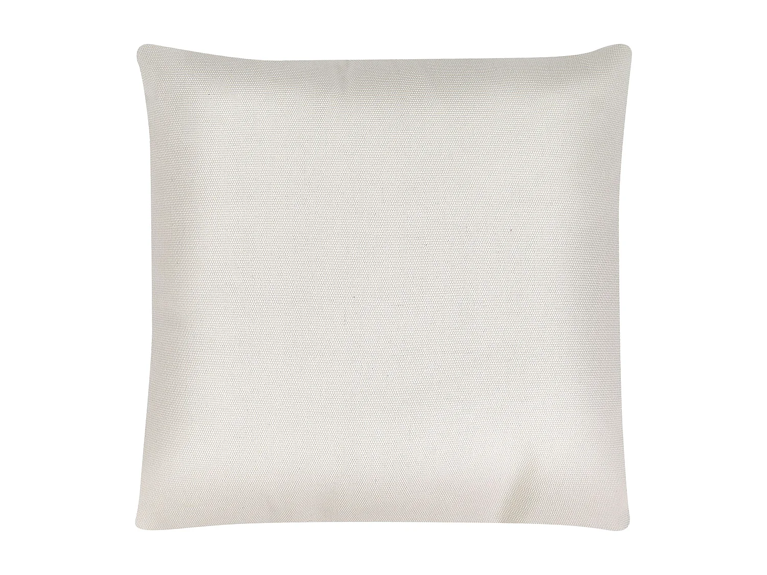 Lot de 2 coussins décoratifs DAVALLIA 45 x 45 cm Vert Motif de plante