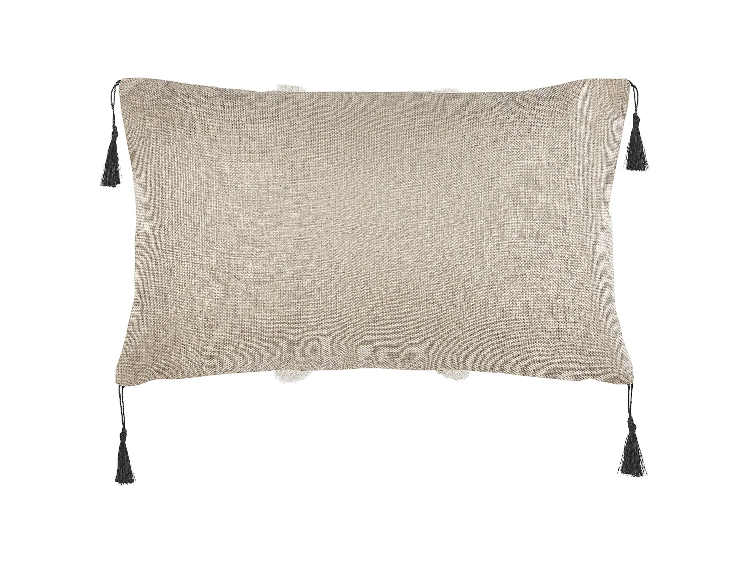 Lot de 2 coussins décoratifs PULMONARIA 30 x 50 cm Beige Motif géométrique