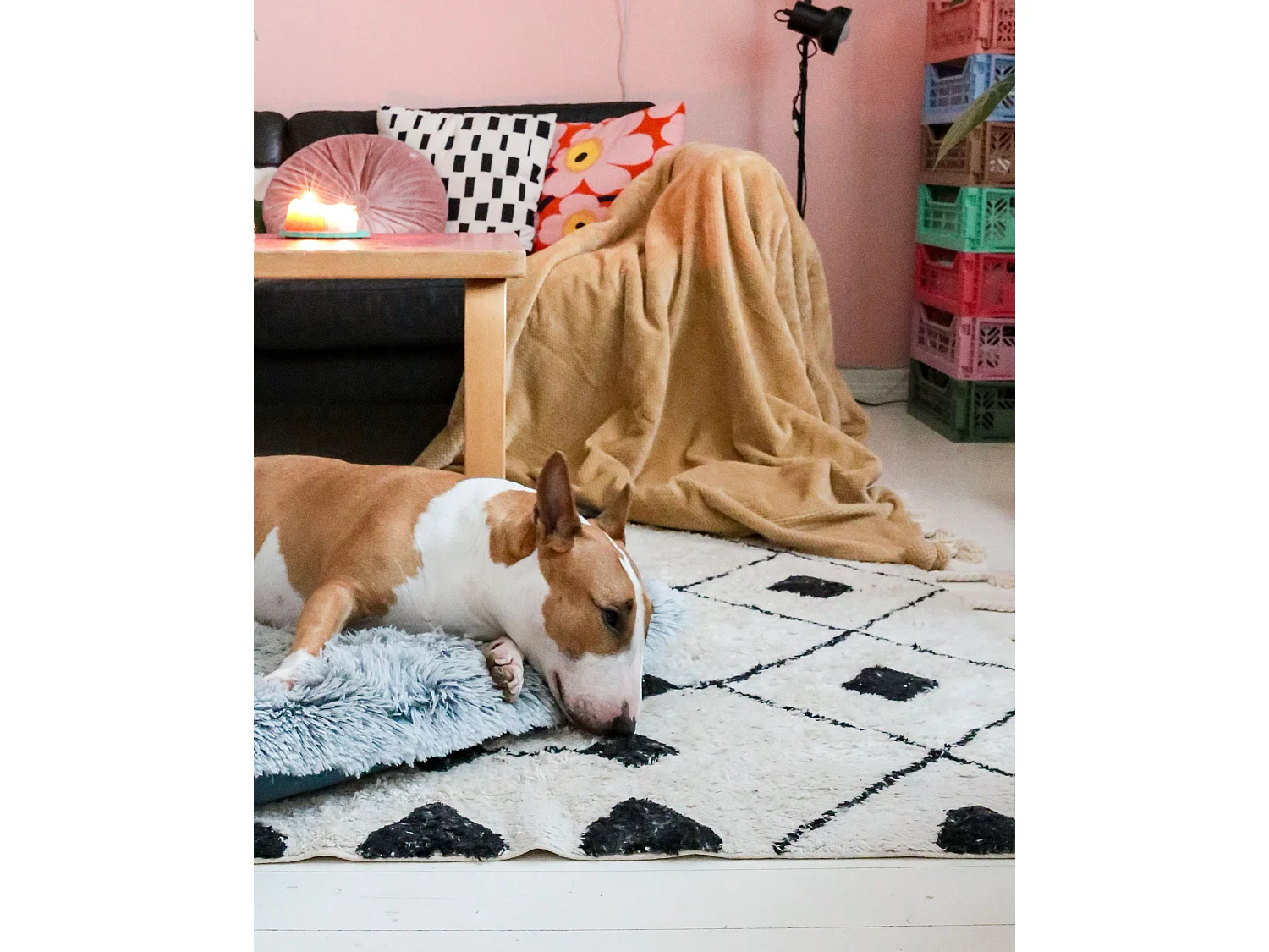 Couverture SAITLER 200 x 220 cm Moutarde