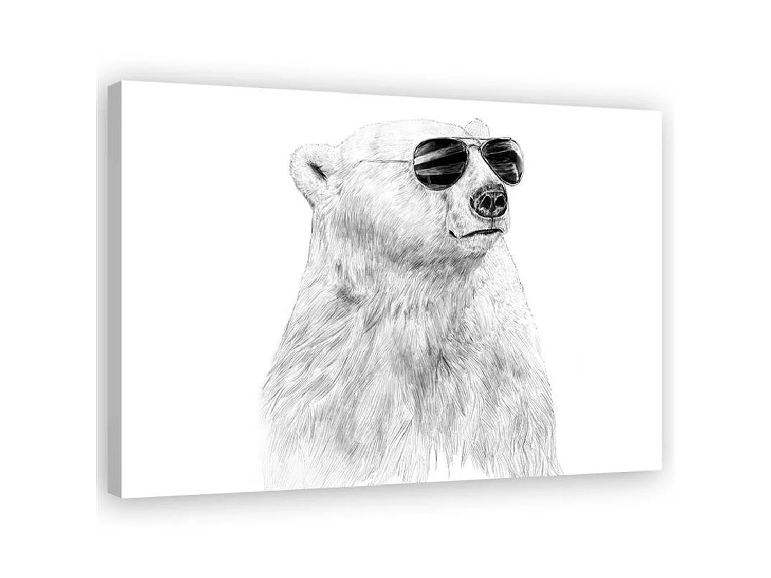 Tableau ours polaire - 70 x 50 cm