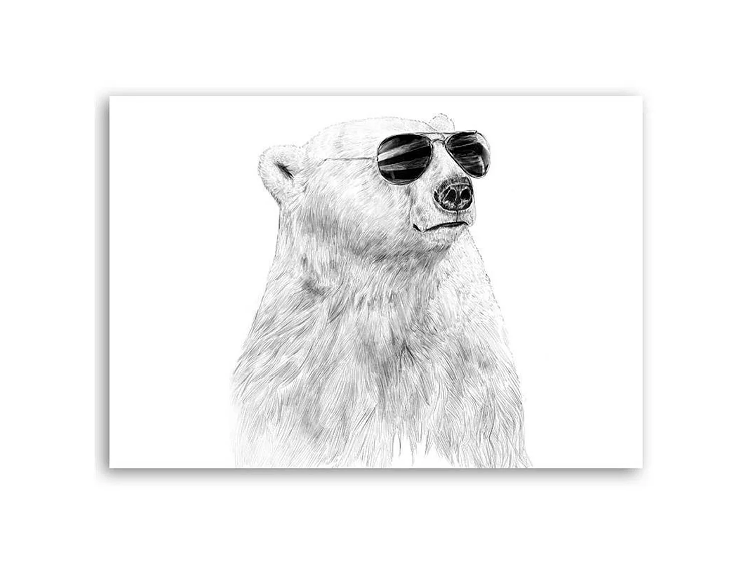 Tableau ours polaire - 70 x 50 cm