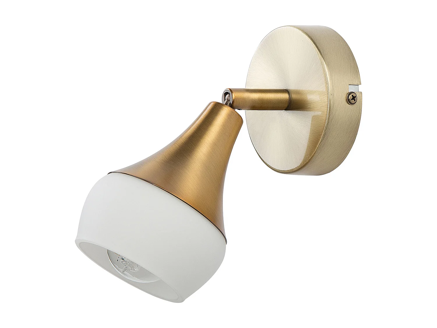 Wandlampe Stahl gold 2er Set industrial Wandleuchte Antler