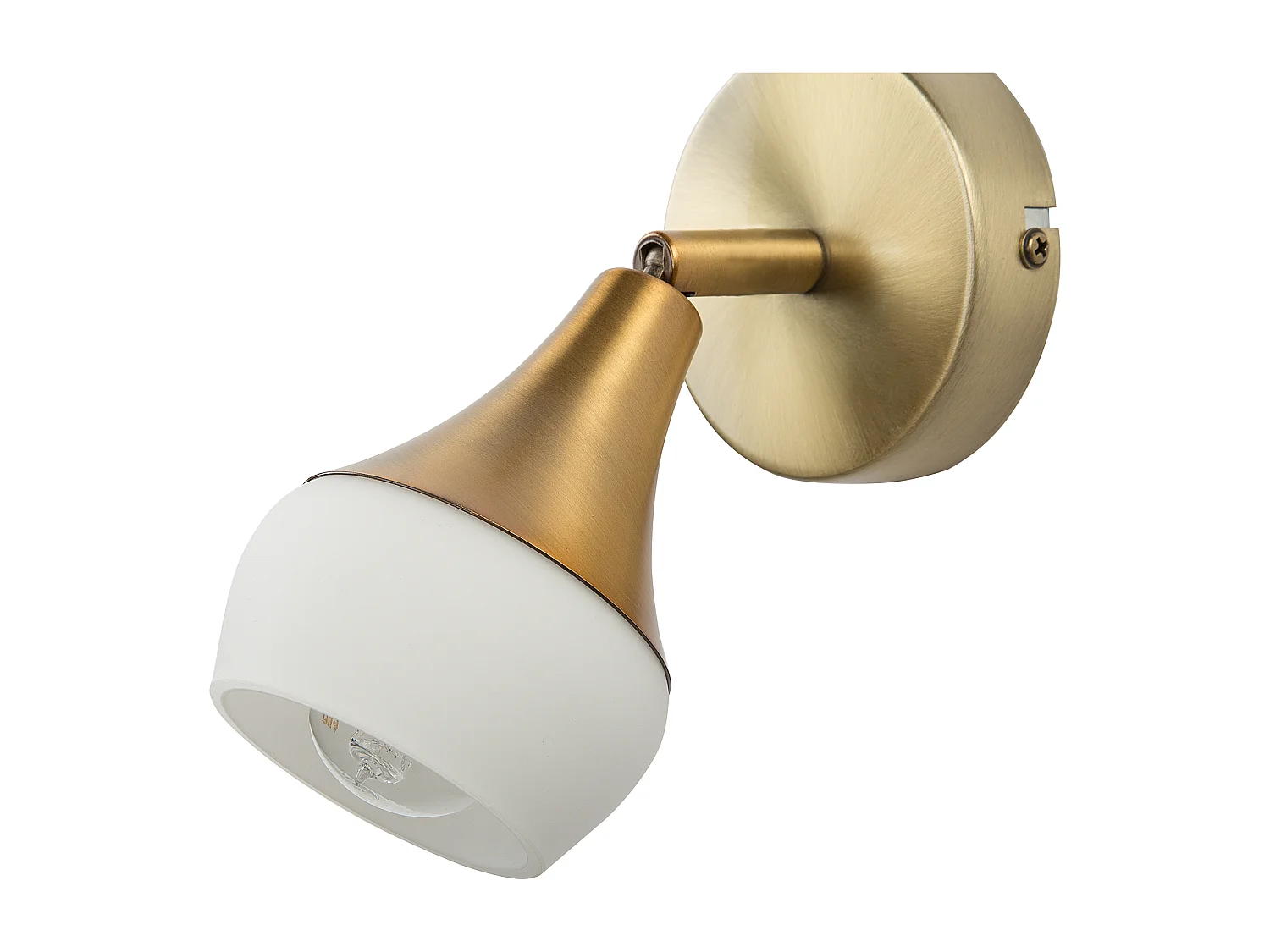 Wandlampe Stahl gold 2er Set industrial Wandleuchte Antler