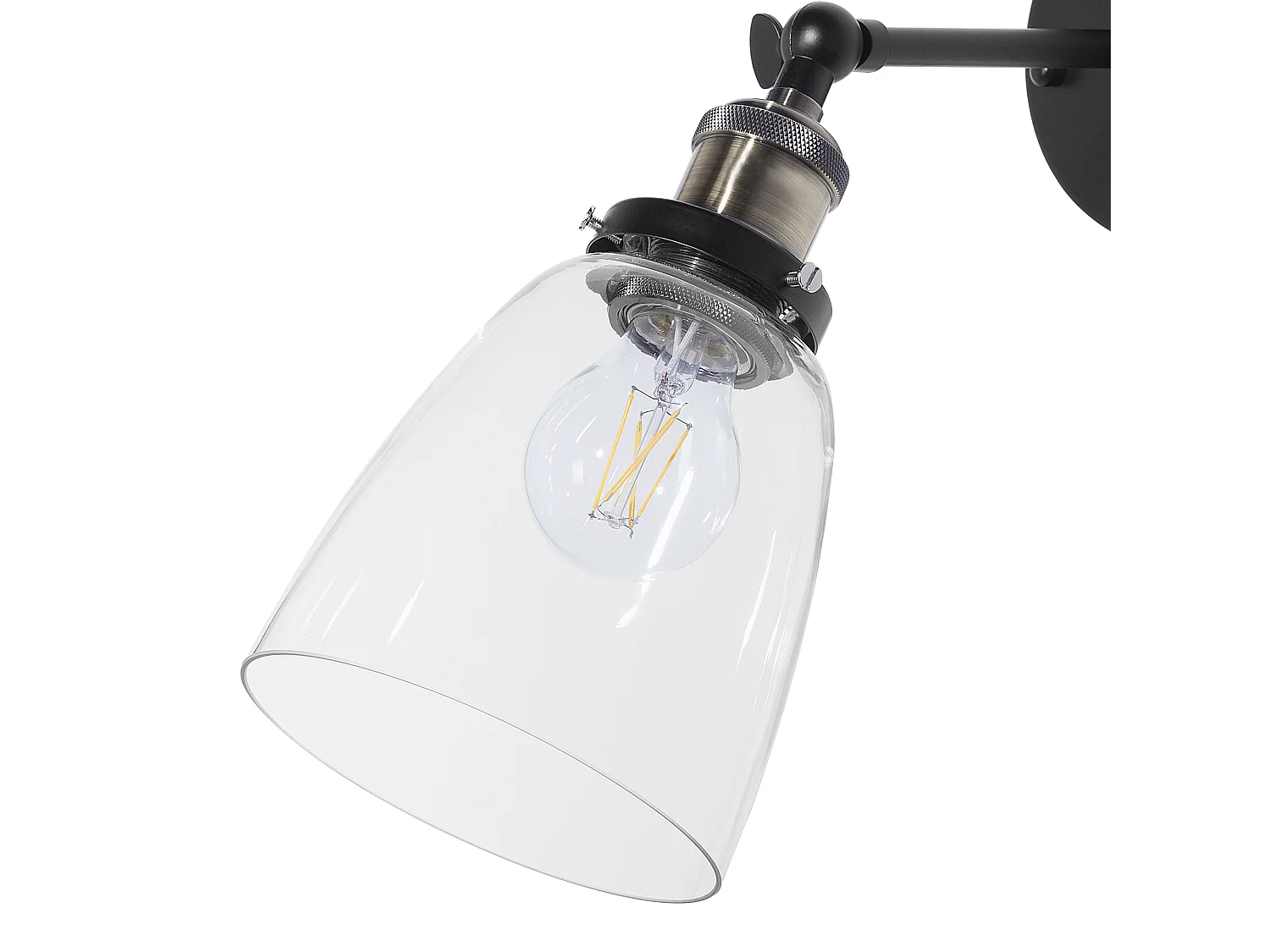 Lot de 2 lampes murales LOVAT Réglable Métal Transparent Noir