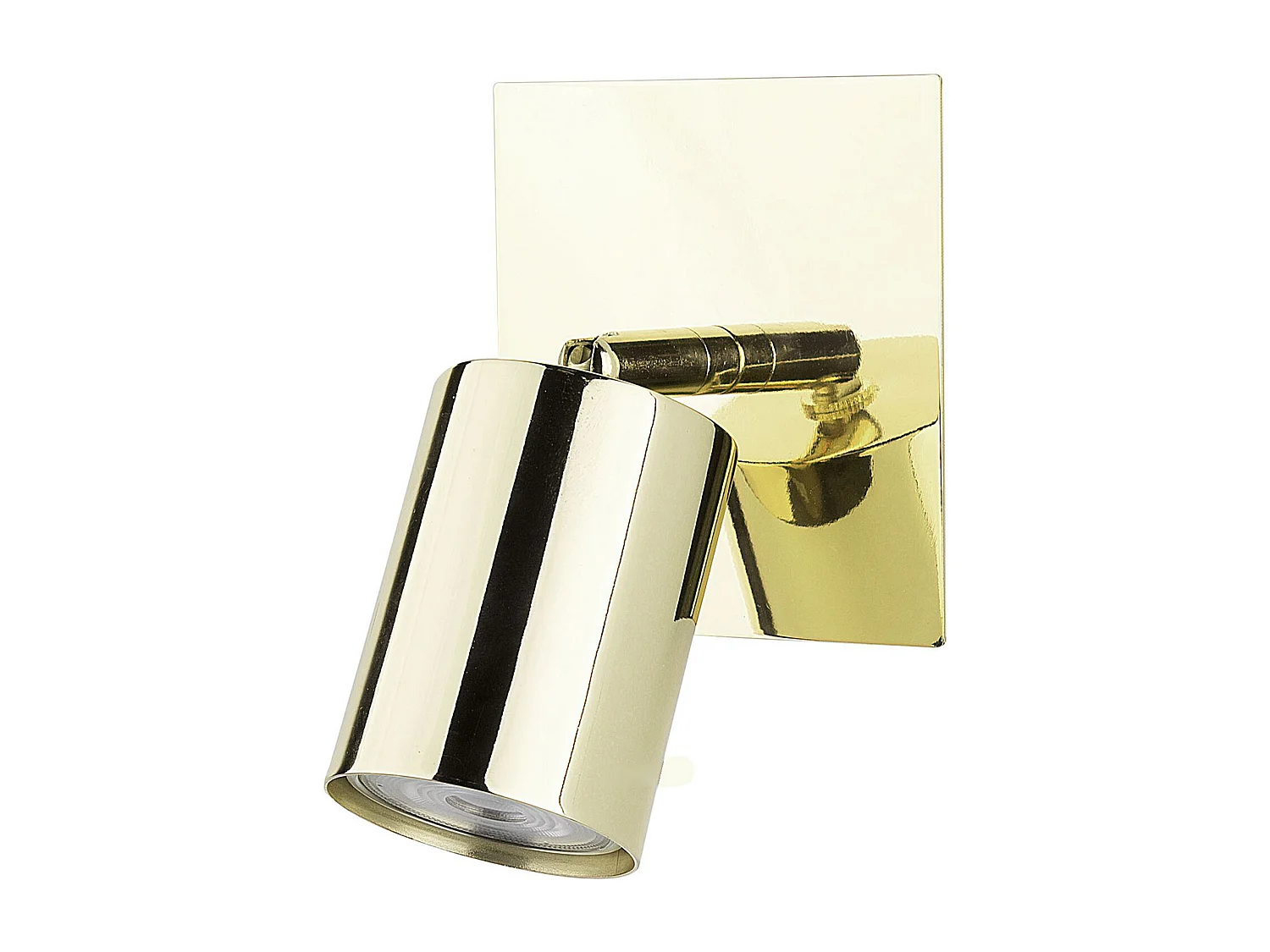 Lot de 2 spots TIGRIS Réglable Métal Doré