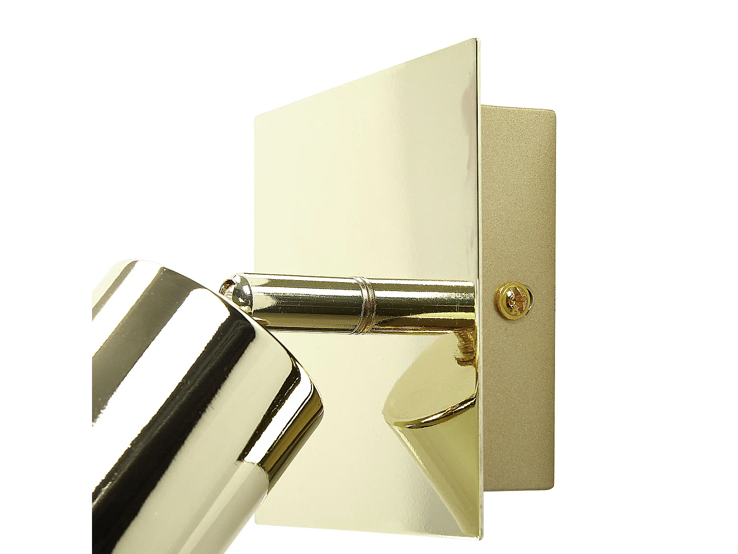 Lot de 2 spots TIGRIS Réglable Métal Doré