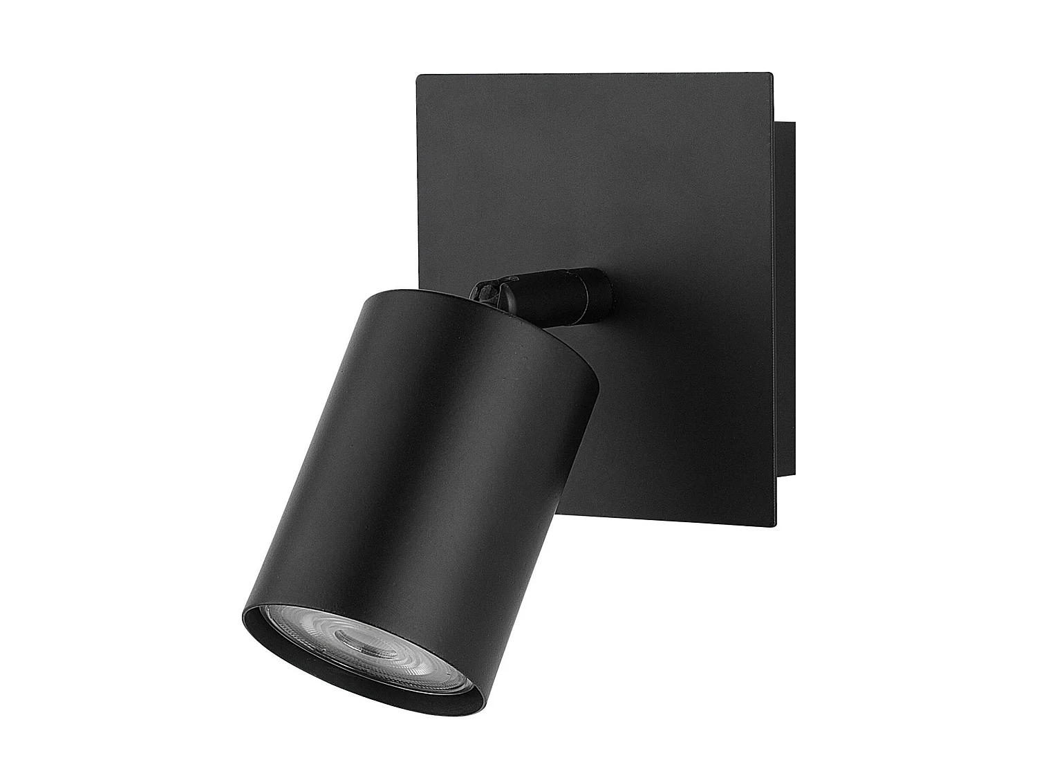 Lot de 2 spots TIGRIS Réglable Métal Noir