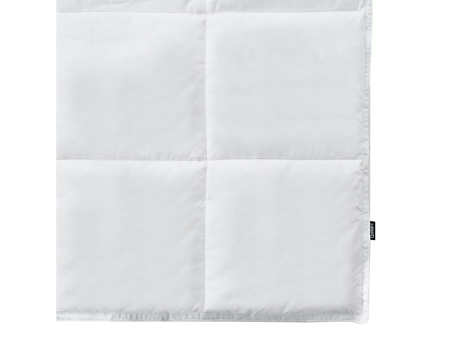 Duvet Duvet de canard Très chaude GRIVOLA 220 x 240 cm