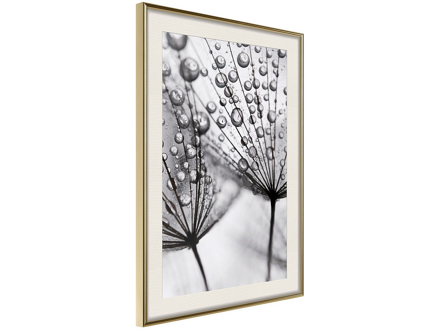 Toile XXL Muralo - Feuilles Colorées Macro-échelle - Peinture Murale