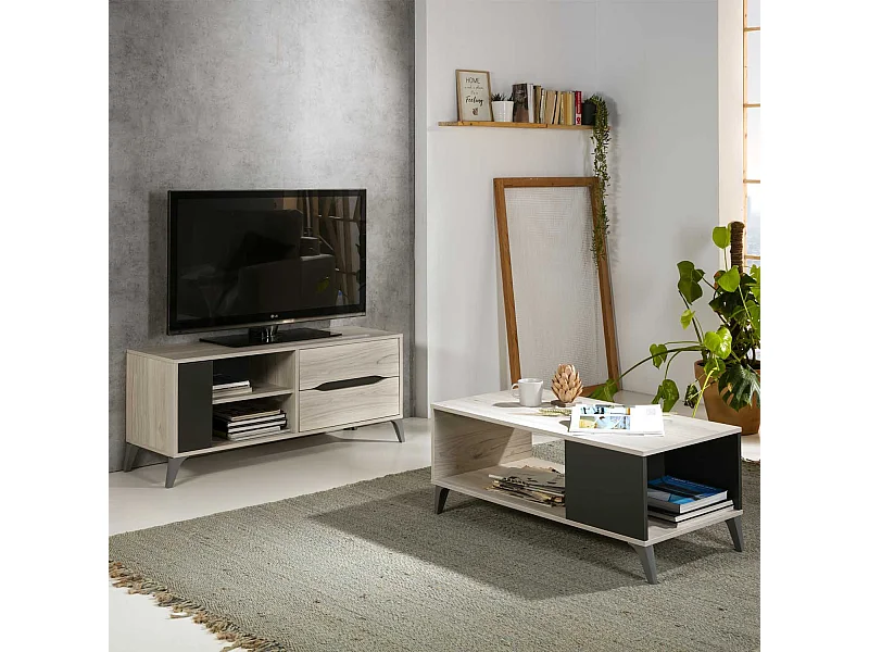 Mobile TV Orly Color Rovere Chiaro e Grigio, 1 Porta e 2 cassetti, Guide in Metallo, 113 x 40 x 52 cm