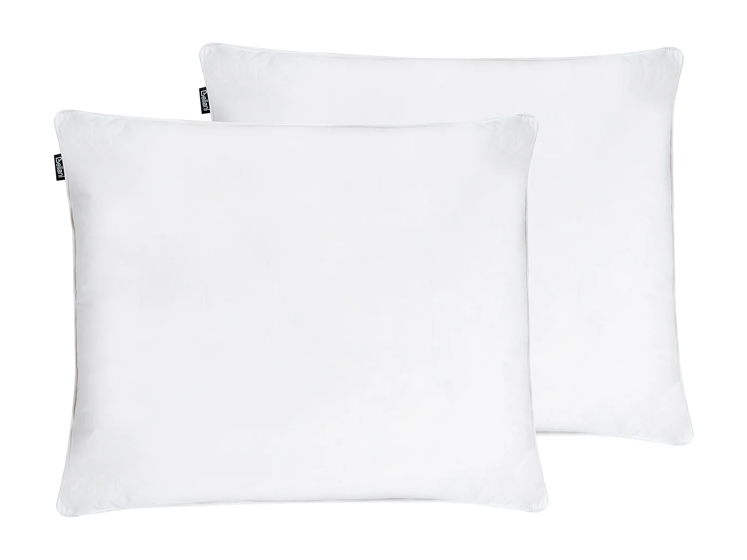 Set van 2 kussens VIHREN Laag 50 x 60 cm Wit