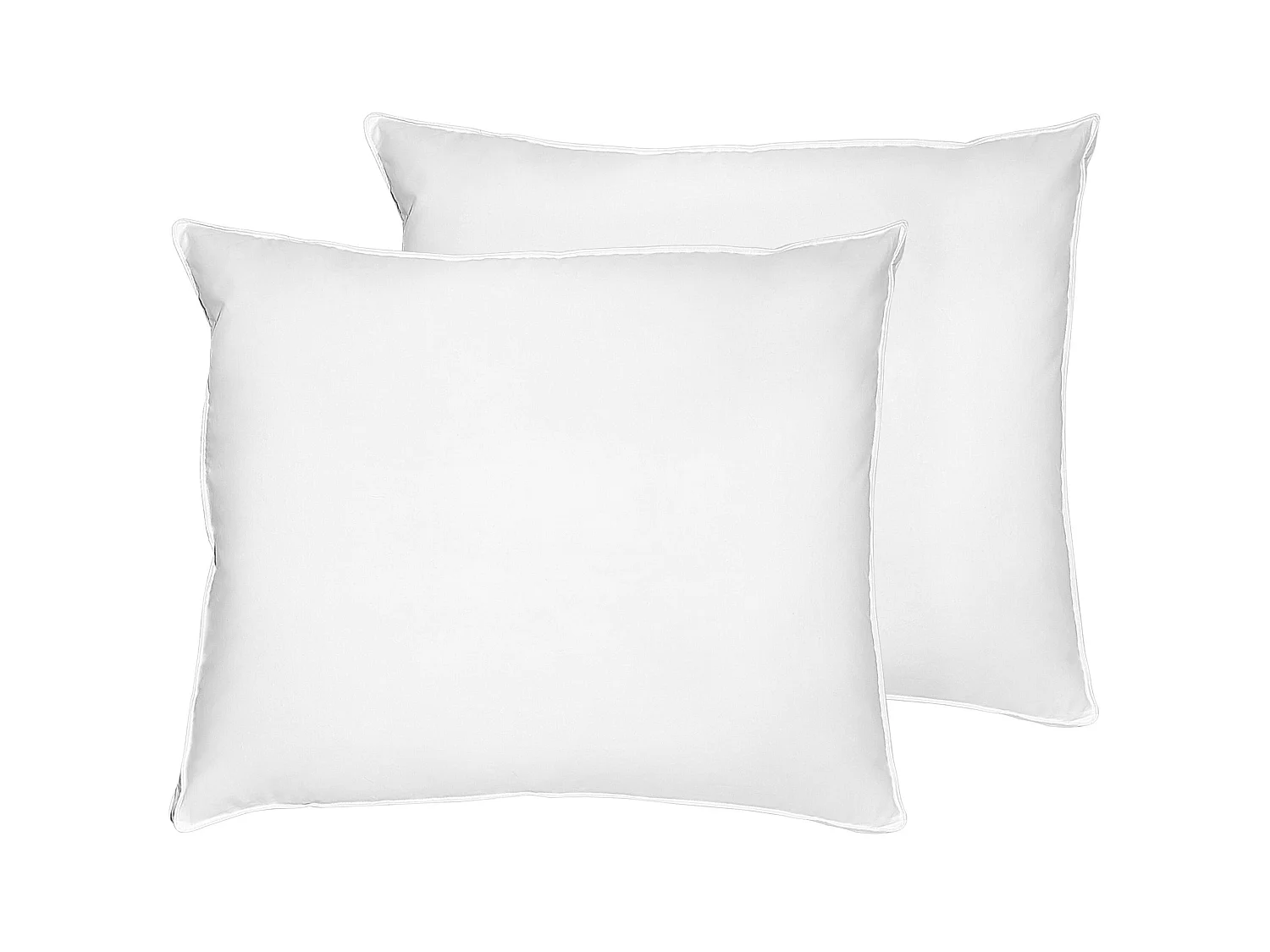 Conjunto de 2 almofadas VIHREN Baixa 50 x 60 cm Branco