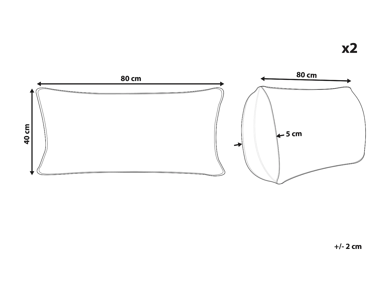 Set van 2 kussens PELISTER Laag Microvezels 40 x 80 cm Wit