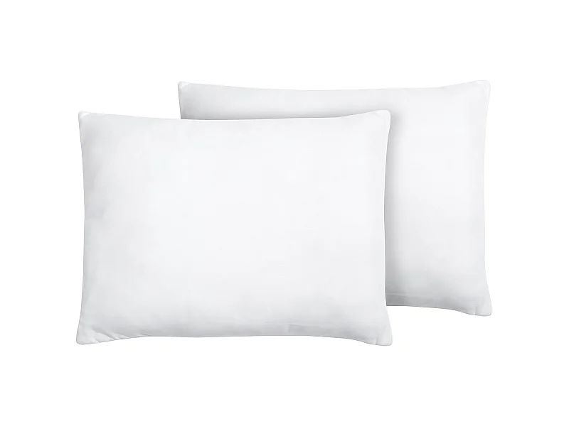 Set van 2 kussens ERRIGAL Laag Microvezels 50 x 60 cm Wit