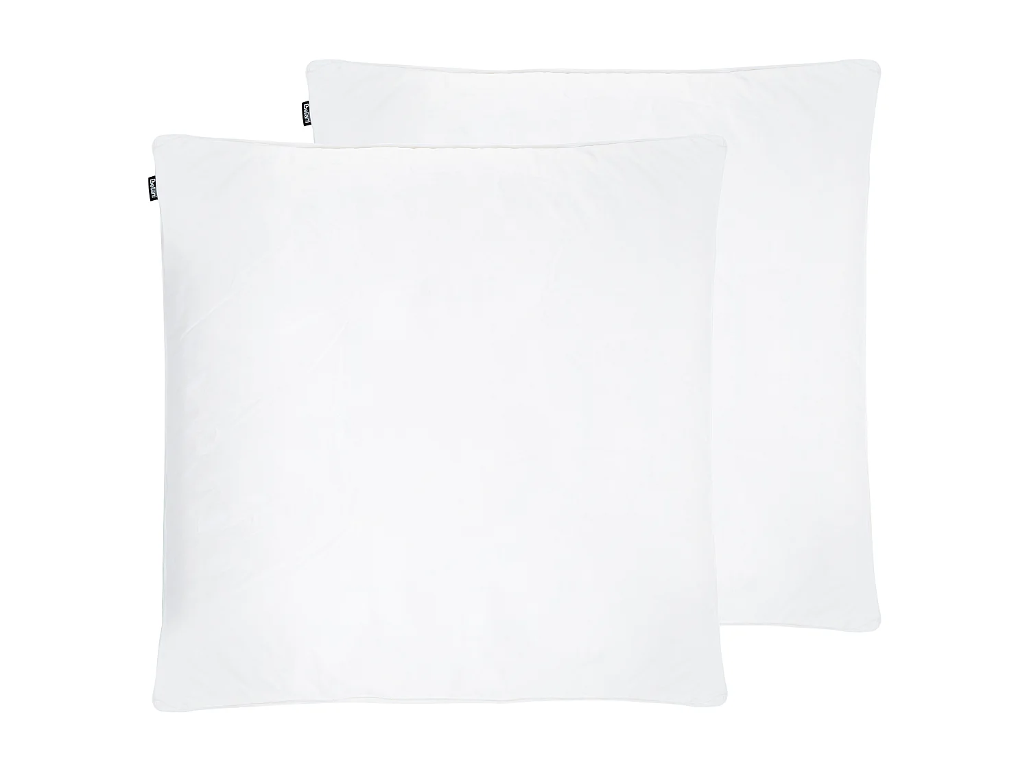 Conjunto de 2 almofadas FELDBERG Alta Penas e plumas de pato 80 x 80 cm Branco