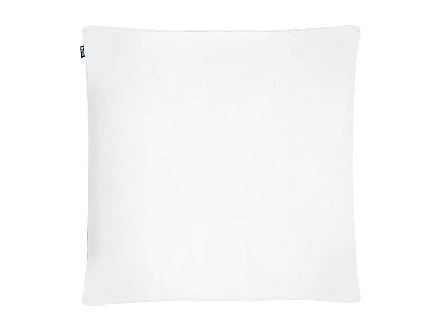 Conjunto de 2 almofadas FELDBERG Alta Penas e plumas de pato 80 x 80 cm Branco