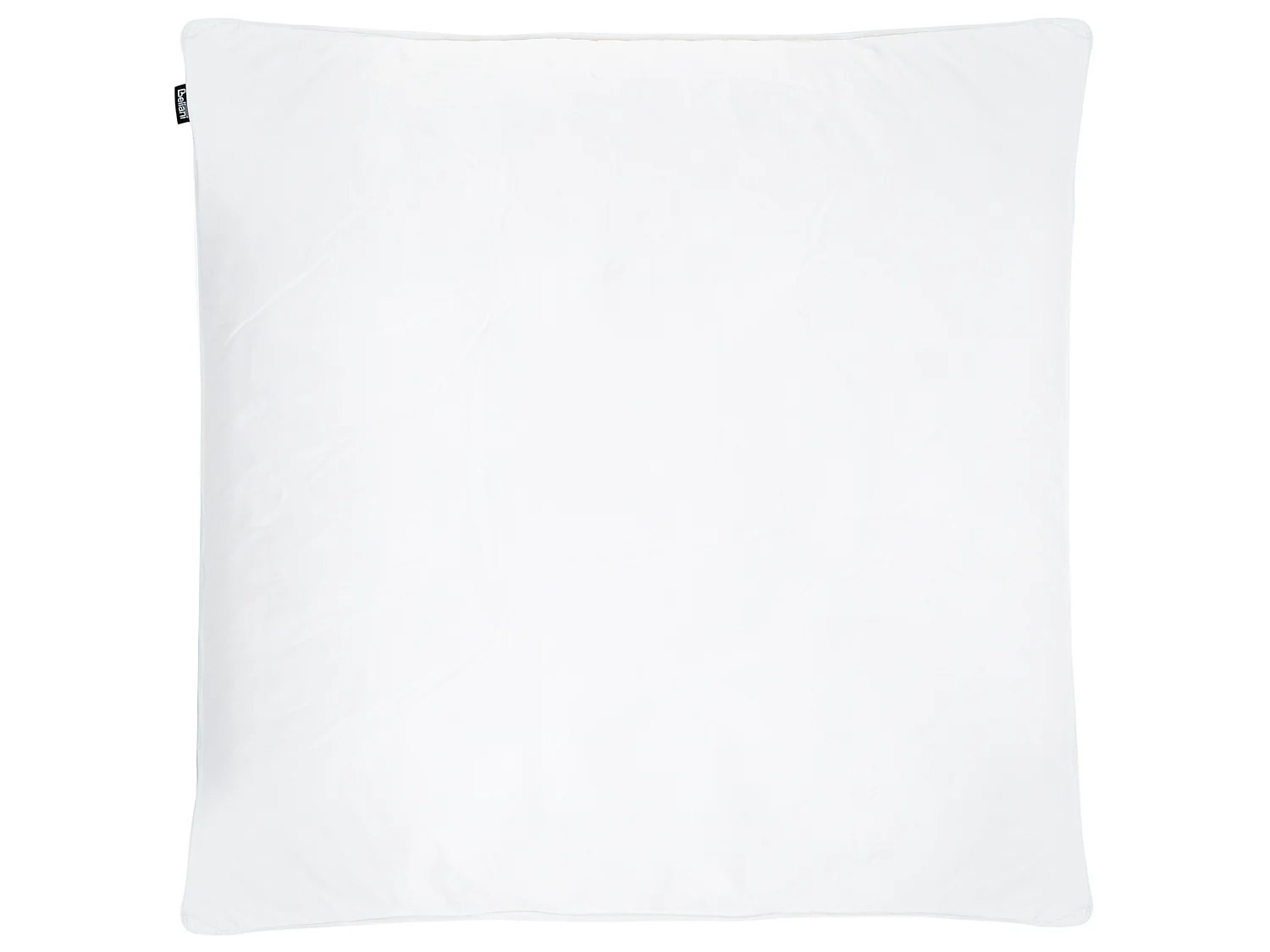 Lot de 2 oreillers FELDBERG Haut de plumes de canard 80 x 80 cm Blanc