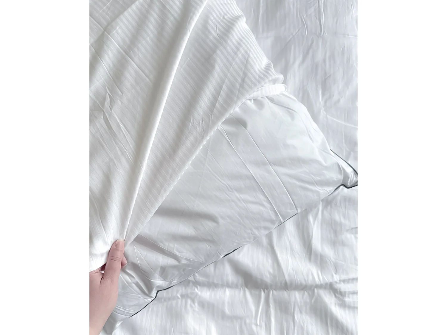 Oreiller PELISTER Bas Microfibre 40 x 80 cm Blanc