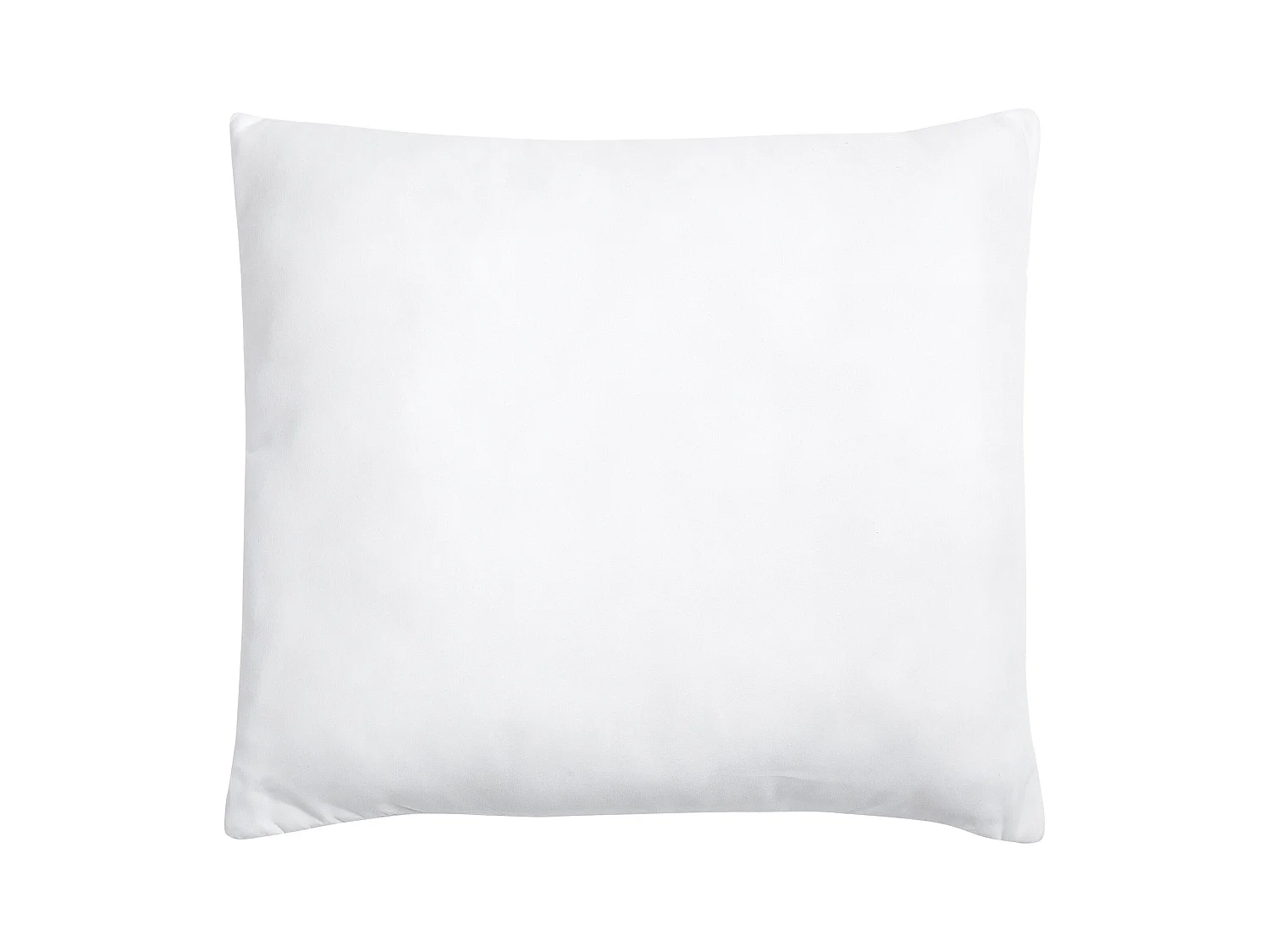 Set van 2 kussens ERRIGAL Laag Microvezels 80 x 80 cm Wit