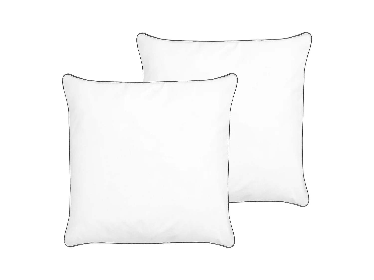 Lot de 2 oreillers PELISTER Bas Microfibre 80 x 80 cm Blanc