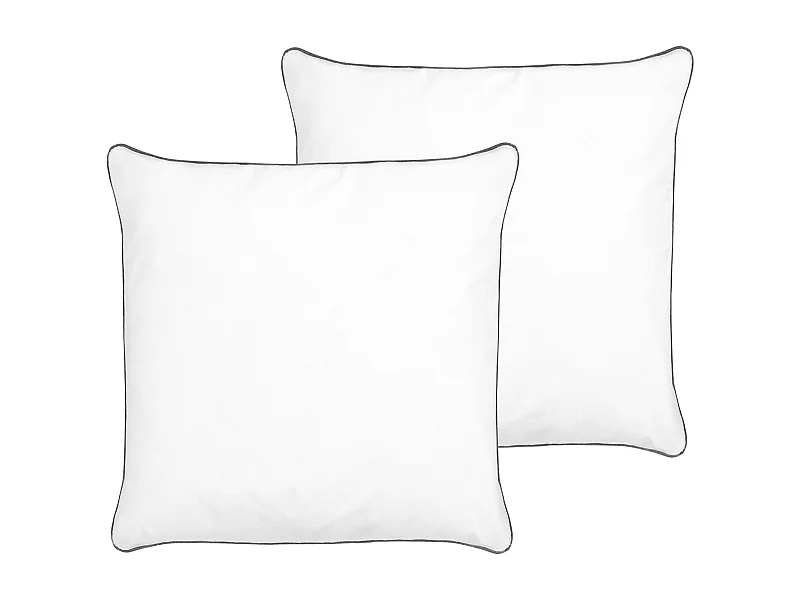 Set van 2 kussens PELISTER Laag Microvezels 80 x 80 cm Wit