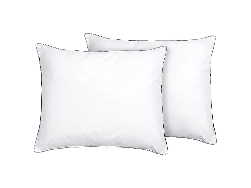 Set van 2 kussens PELISTER Laag Microvezels 50 x 60 cm Wit