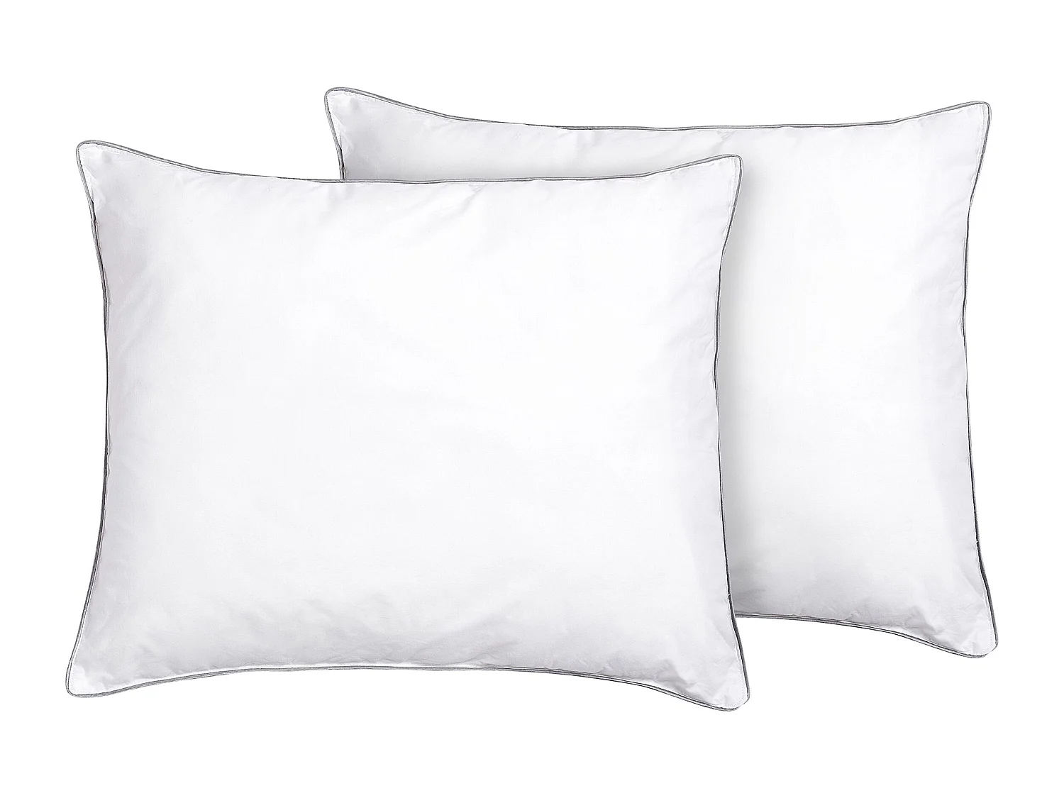 Lot de 2 oreillers PELISTER Bas Microfibre 50 x 60 cm Blanc